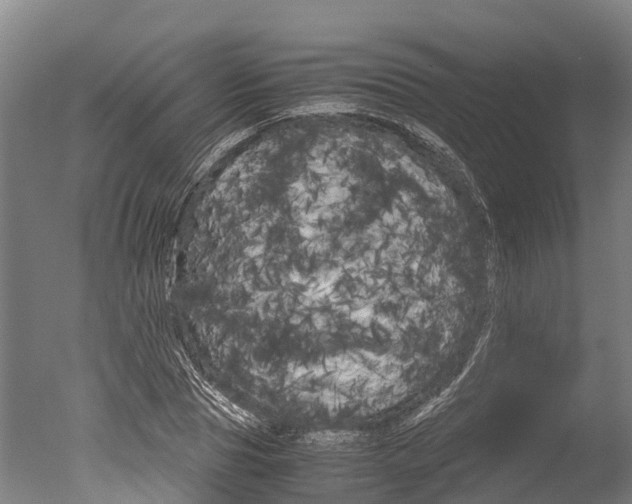 X0000051250929200506170838