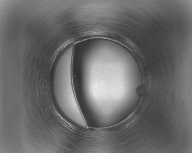 X0000051250930200506170838