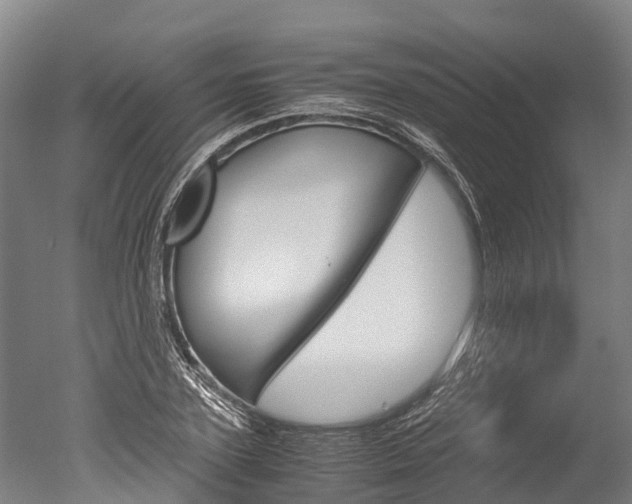 X0000051250931200506170838