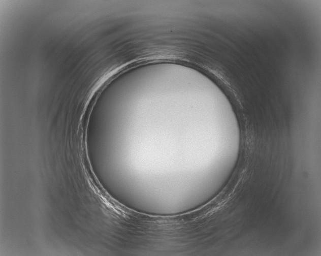 X0000051250933200506170838