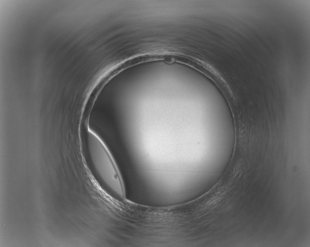 X0000051250935200506170838