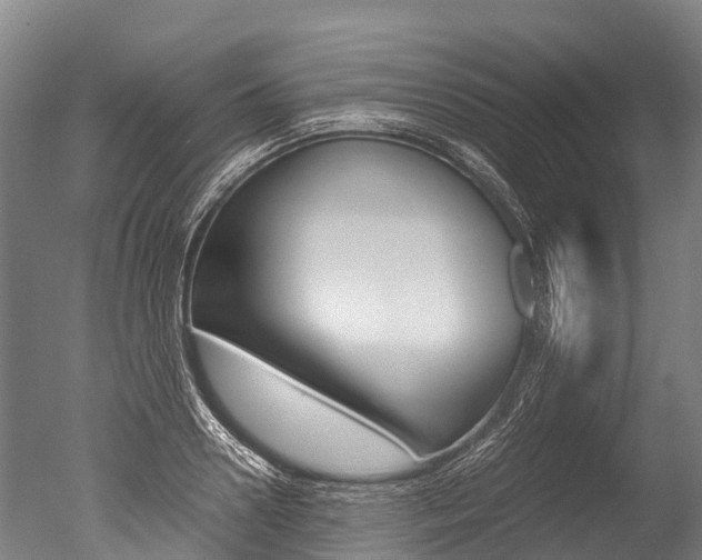 X0000051250938200506170838