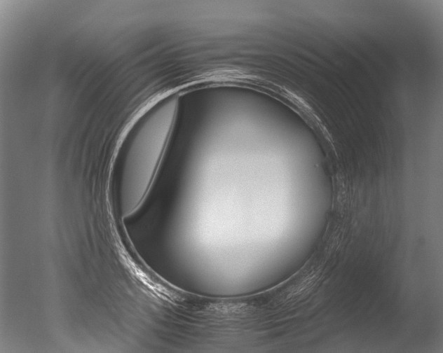 X0000051250939200506170838