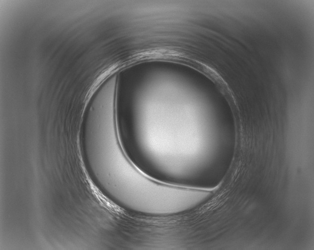 X0000051250946200506170838