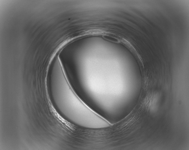 X0000051250947200506170838