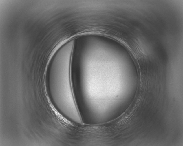 X0000051250949200506170838