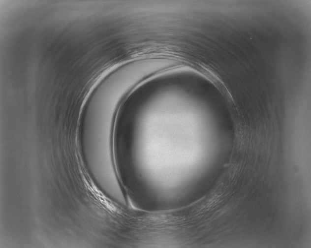 X0000051250956200506170838