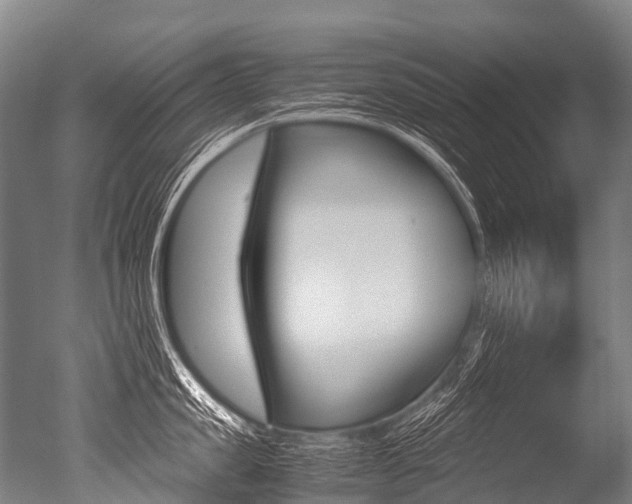 X0000051250957200506170838