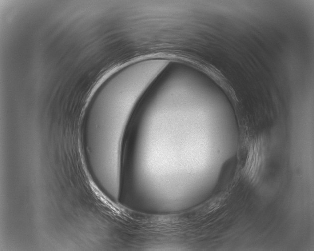 X0000051250958200506170838