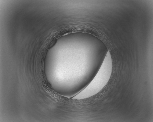 X0000051250961200506170838