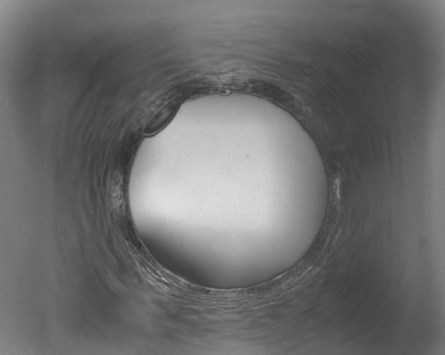 X0000051250963200506170838