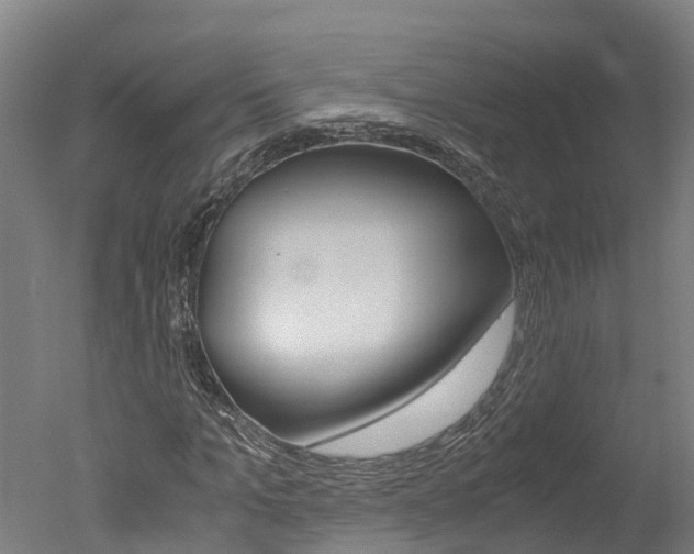 X0000051250965200506170837