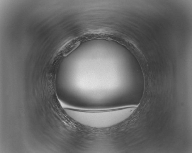 X0000051250968200506170837