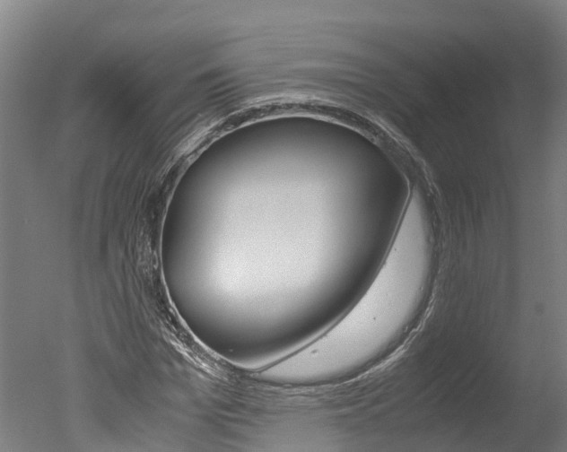 X0000051250969200506170837
