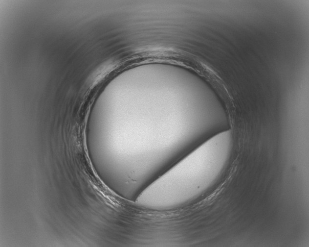 X0000051250970200506170837