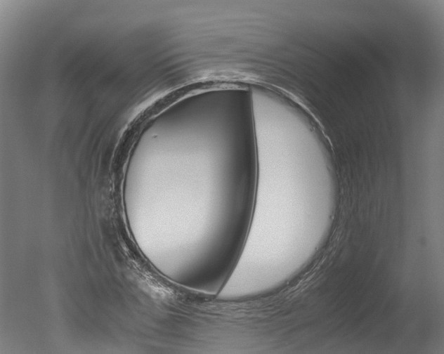 X0000051250971200506170837