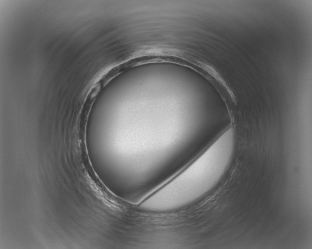 X0000051250972200506170837