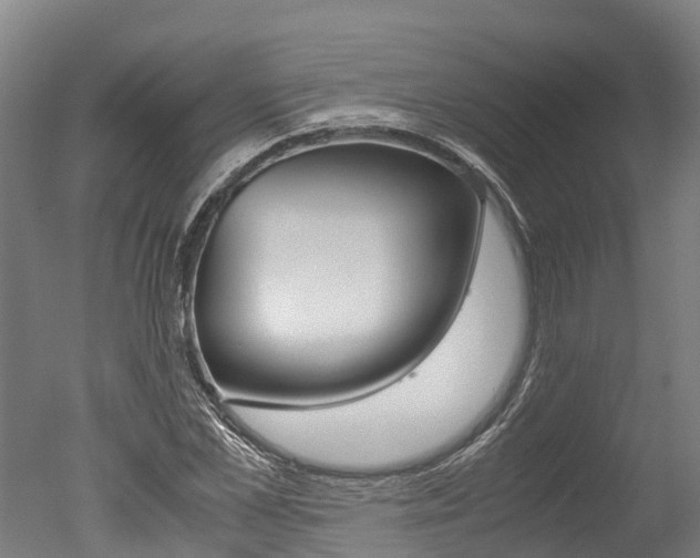 X0000051250973200506170837