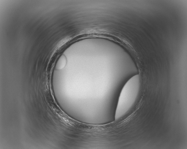 X0000051250974200506170837