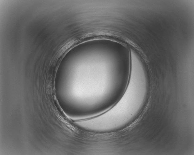 X0000051250977200506170837