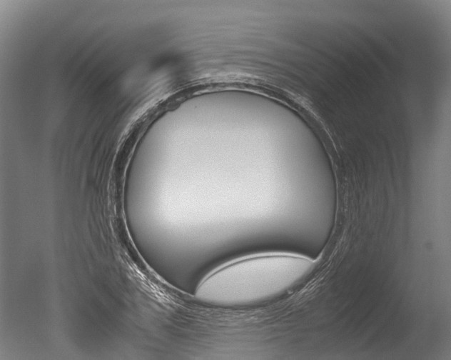 X0000051250979200506170837