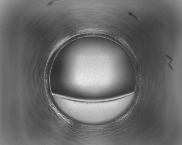 X0000051250981200506170837