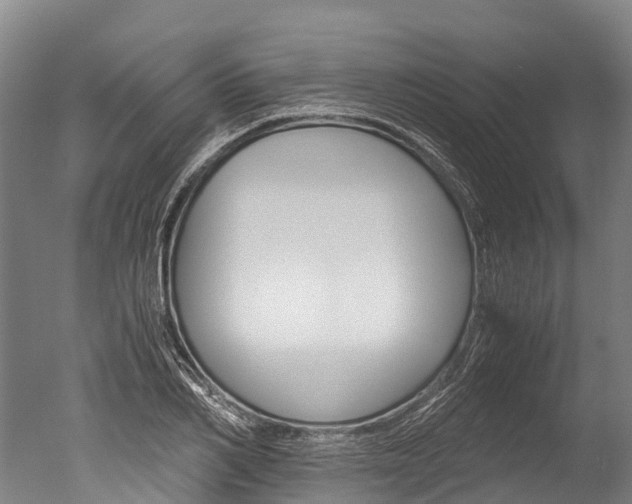 X0000051250982200506170837