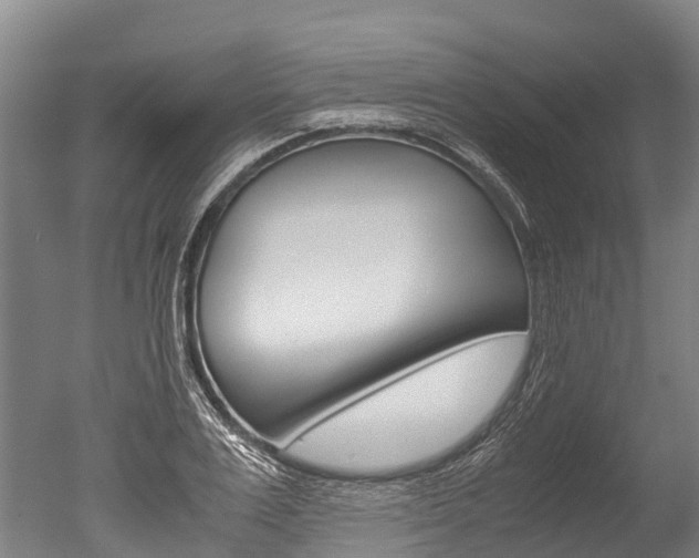 X0000051250983200506170837