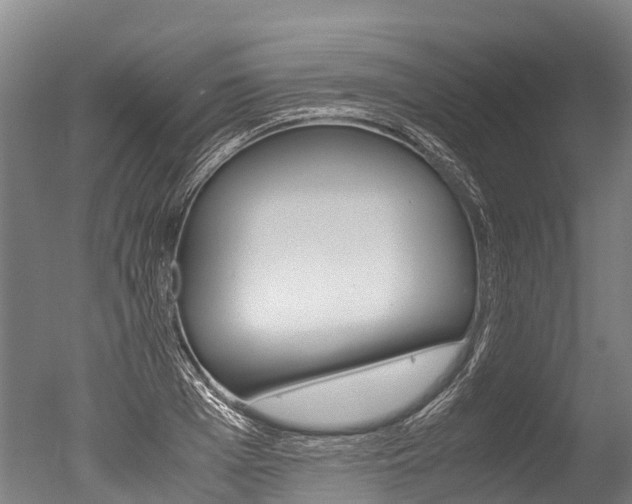 X0000051250985200506170837