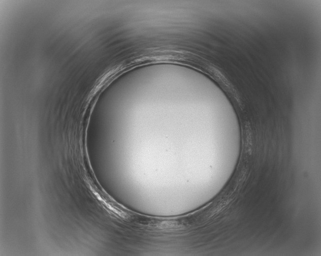 X0000051250986200506170837