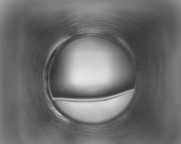 X0000051250987200506170837