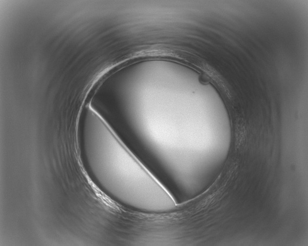 X0000051250988200506170837