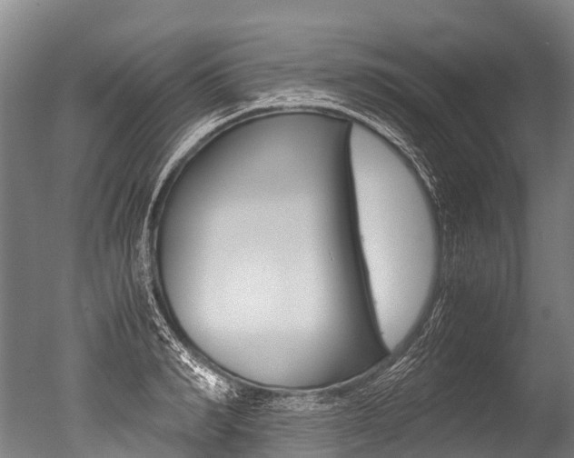 X0000051250990200506170837