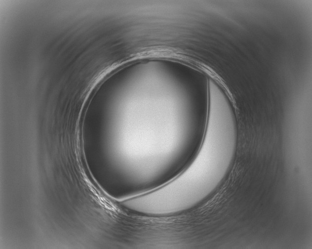 X0000051250996200506170837
