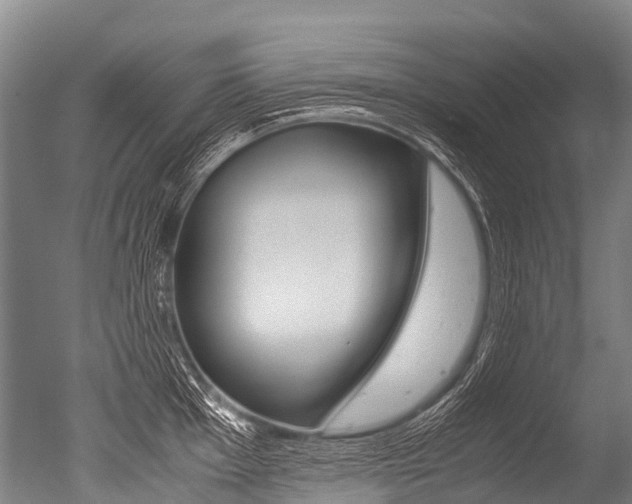 X0000051251001200506170837