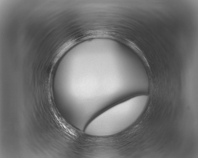 X0000051251002200506170837