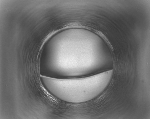 X0000051251004200506170837