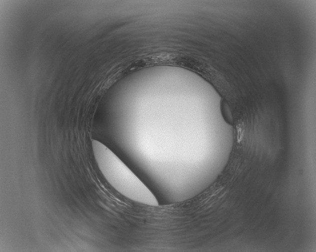 X0000051251011200506170836