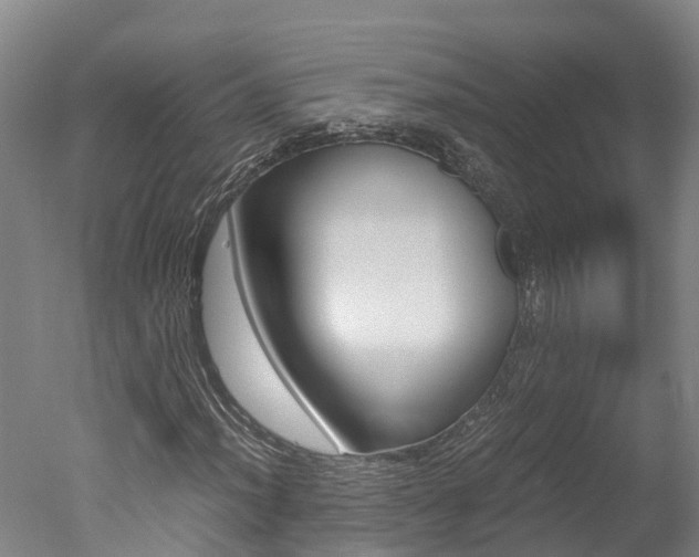 X0000051251012200506170836