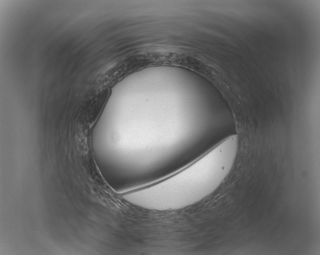 X0000051251013200506170836