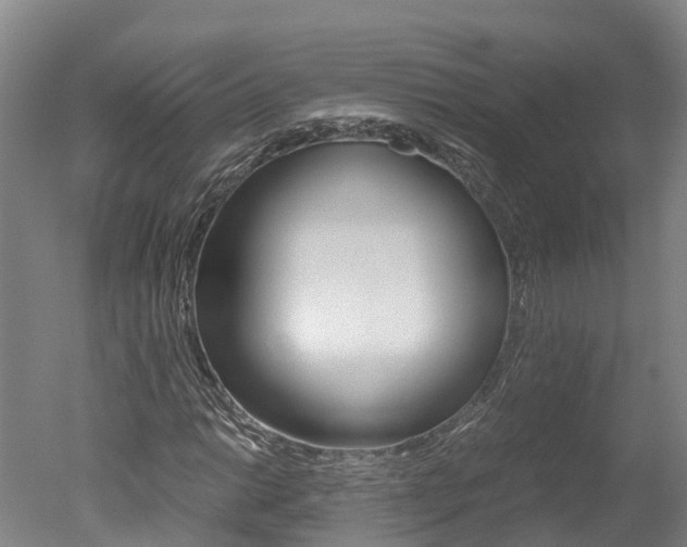 X0000051251014200506170836