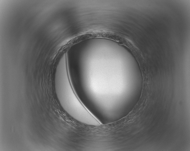 X0000051251016200506170836
