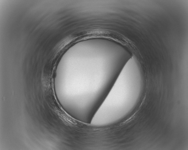 X0000051251017200506170836