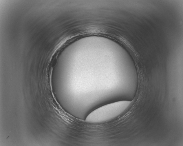X0000051251023200506170836