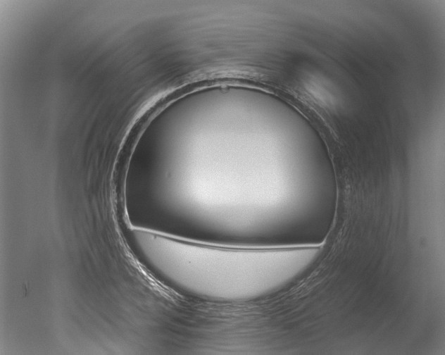 X0000051251024200506170836