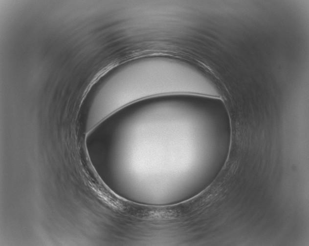 X0000051251026200506170836