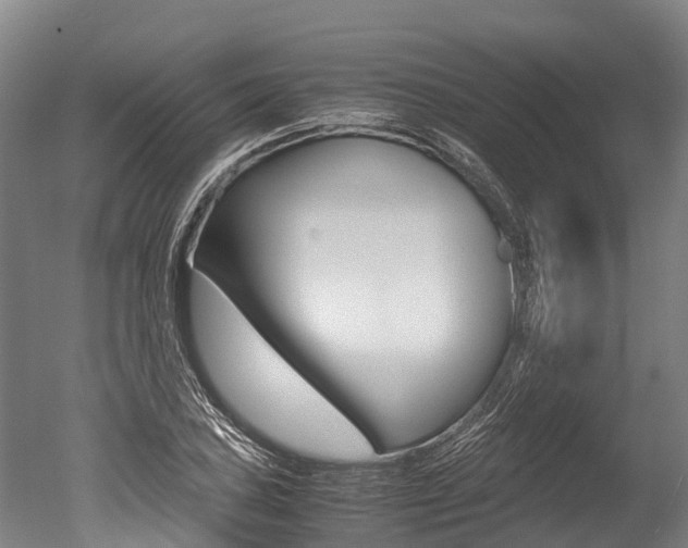 X0000051251027200506170836