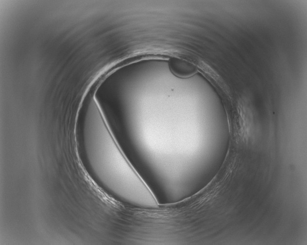X0000051251028200506170836