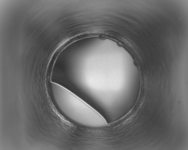 X0000051251029200506170836