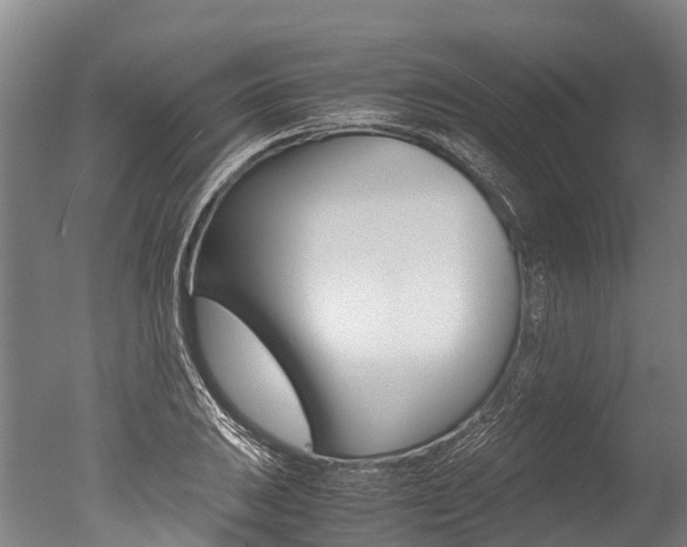 X0000051251031200506170836